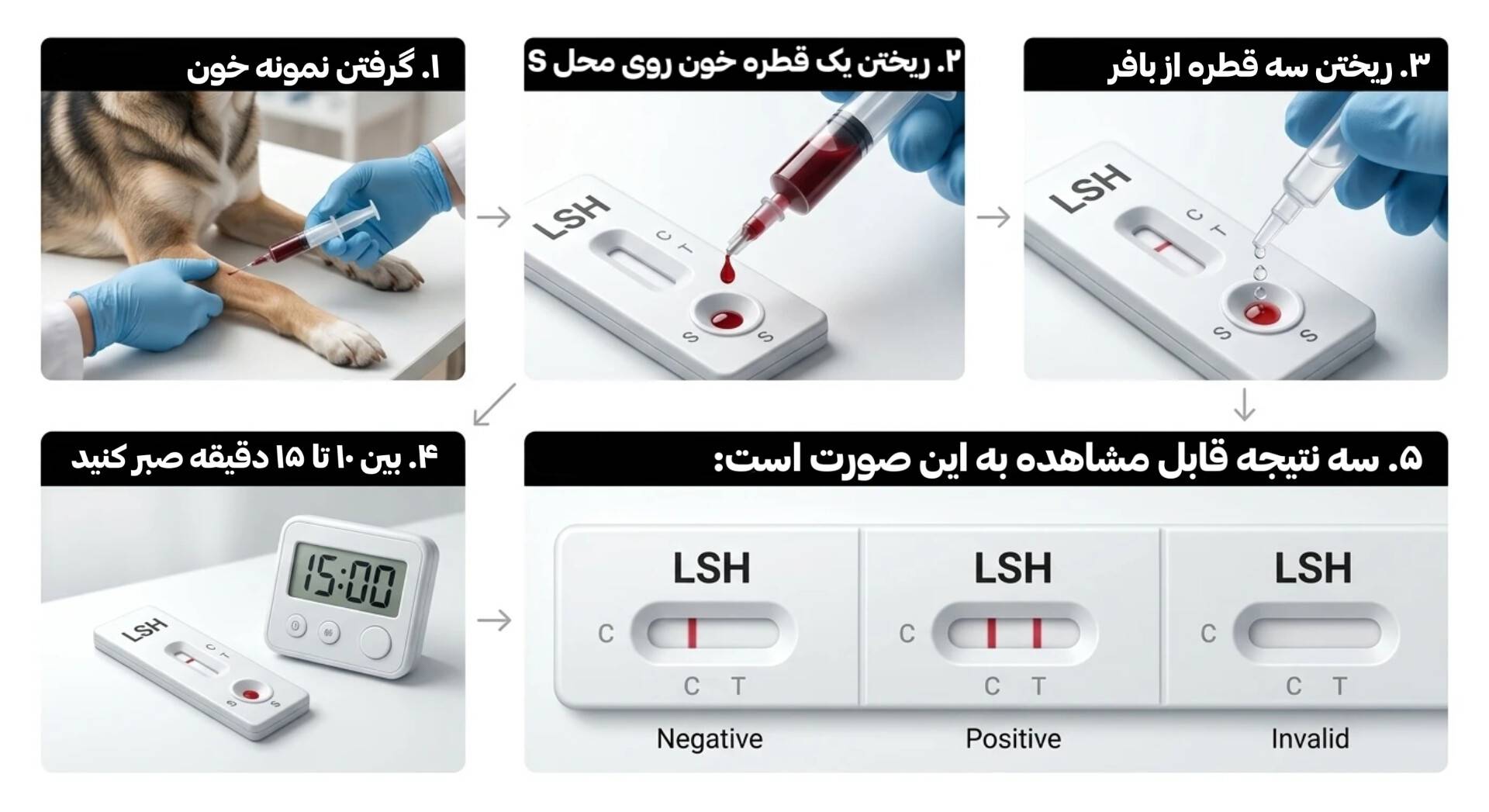 مراحل نمونه گیری خونی| رپید تست | نمونه گیری خون