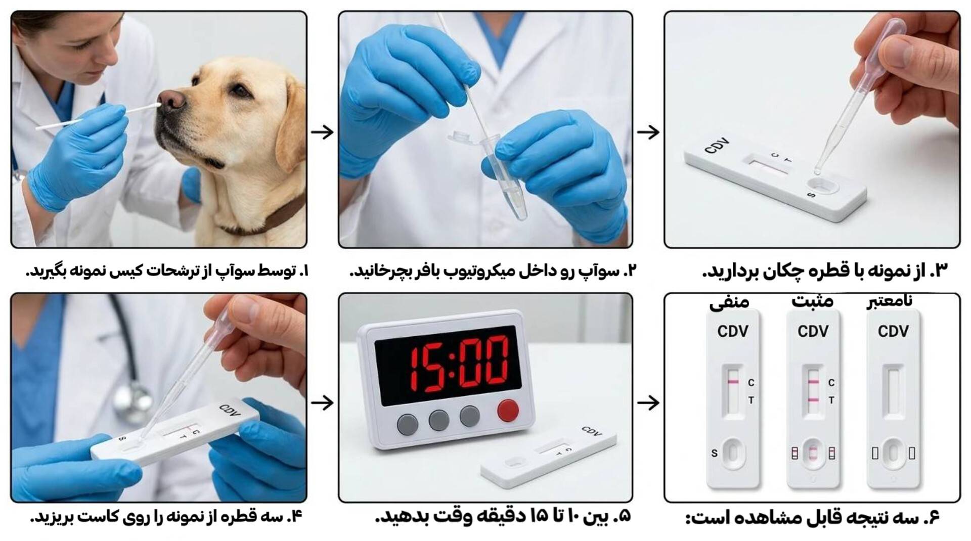 کیت تشخیص سریع دیستمپر سگ|کیت CDV|لبتلیجنس|سرشار گروه|کیت رپید تست دامپزشکی|تست دیستمپر سگ|آنتیژن ویروس دیستمپر سگ|ایمونوکروماتوگرافی دامپزشکی|تشخیص سریع بیماری سگ