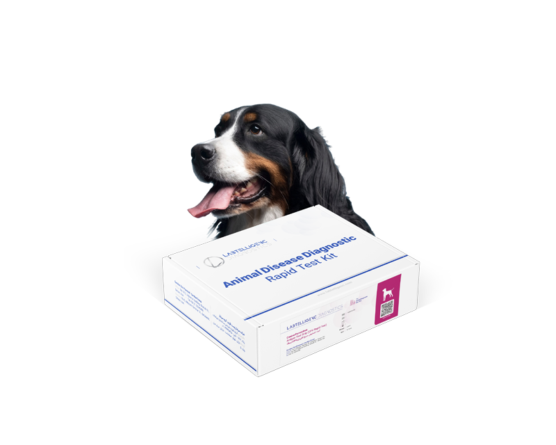 Canine Parvovirus