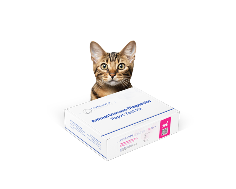 Feline Infectious Peritonitis Virus